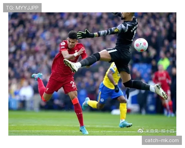 狼堡攻防两端渐入佳境，状态回升彰显新赛季争冠潜力