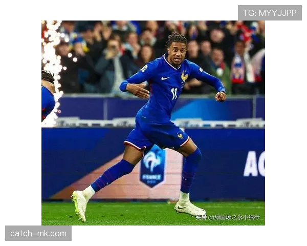 德尚执教理念重塑法国队：团队精神与战术灵活性双提升