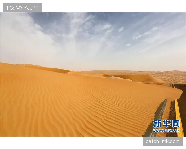 沙勒罗瓦反击效率