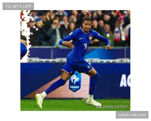 法国历史助攻 法国历史助攻