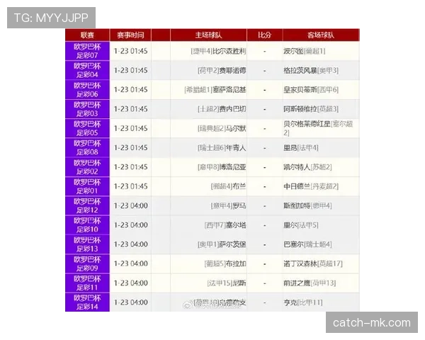欧洲杯最新赛况与新闻汇总